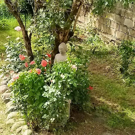 Le Relais De Boralde אספאיו