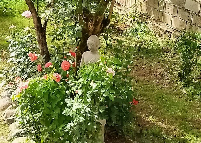 Le Relais De Boralde エスパリオン